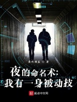 夜的命名术：我有一身被动技封面