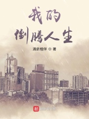 我的倒腾人生在线阅读