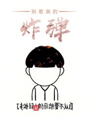 别惹我的炸弹