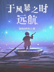 于风暴之时远航在线阅读