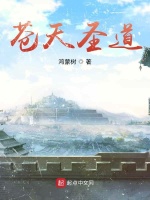 苍天圣道在线阅读