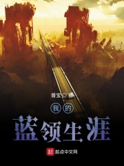 我的蓝领生涯在线阅读