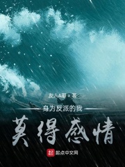 莫得感情