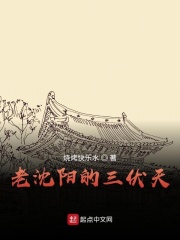 老沈阳的三伏天在线阅读