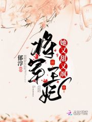 将军王妃她又甜又飒