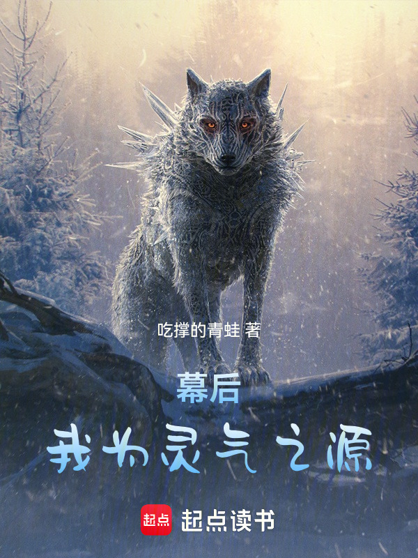 幕后：我为灵气之源