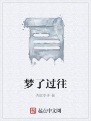 梦了过往在线阅读