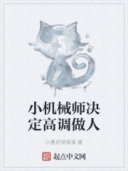 小机械师决定高调做人