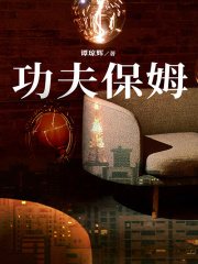 功夫保姆在线阅读