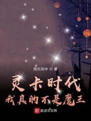 灵卡时代：我真的不是魔王在线阅读