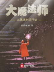 大魔法师从黑魂系统开始在线阅读