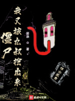 僵尸：我又被九叔挖出来在线阅读