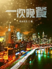一次晚餐在线阅读