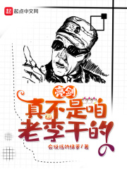 亮剑：真不是咱老李干的在线阅读