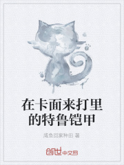 在卡面来打里的特鲁铠甲