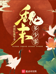 魏末多少事在线阅读