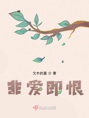 非爱即恨在线阅读