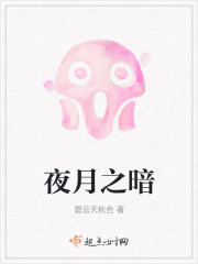 夜月之暗在线阅读