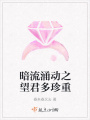 暗流涌动之望君多珍重在线阅读