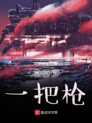 我只是一把枪在线阅读