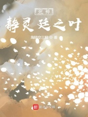 死神：静灵廷之叶在线阅读