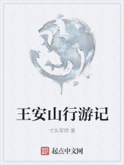 王安山行游记在线阅读