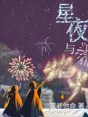 星夜与焰火在线阅读