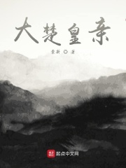 大楚皇亲在线阅读