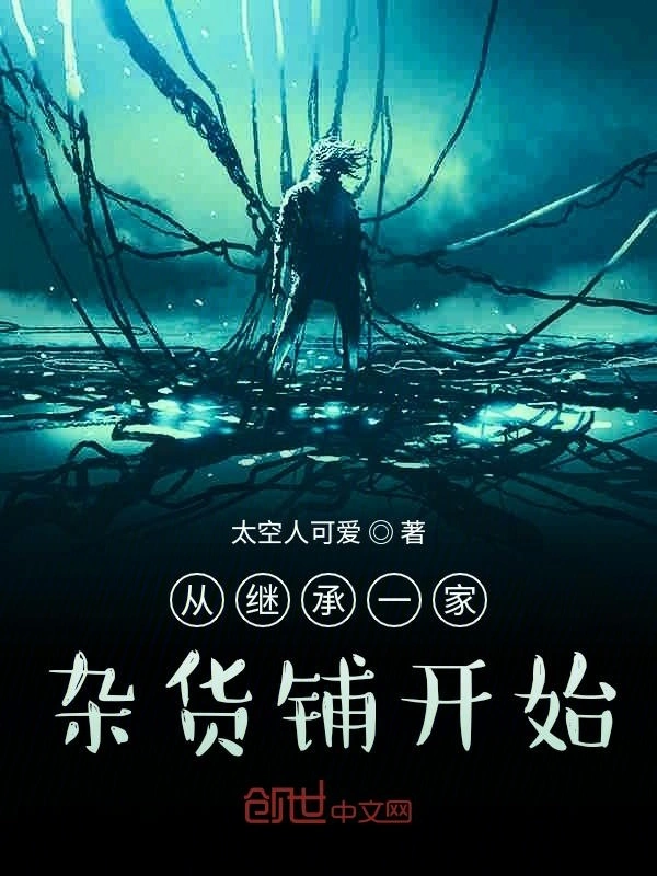 从继承一家杂货铺开始