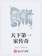 天下第一家传奇在线阅读