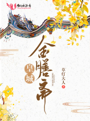 皇城金膳斋在线阅读