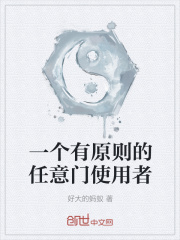 一个有原则的任意门使用者在线阅读