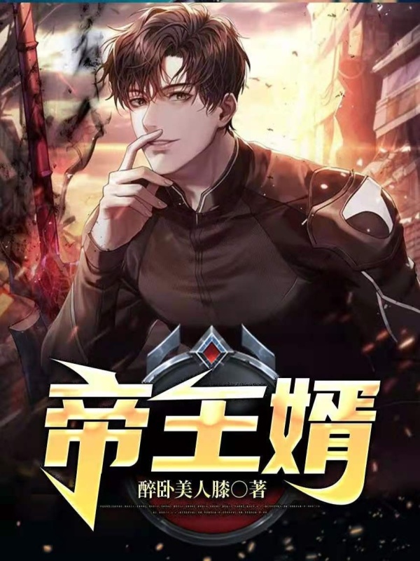 帝王婿在线阅读