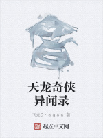 天龙奇侠异闻录封面