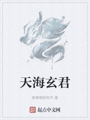 天海玄君在线阅读