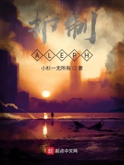 抑制ALEPH在线阅读