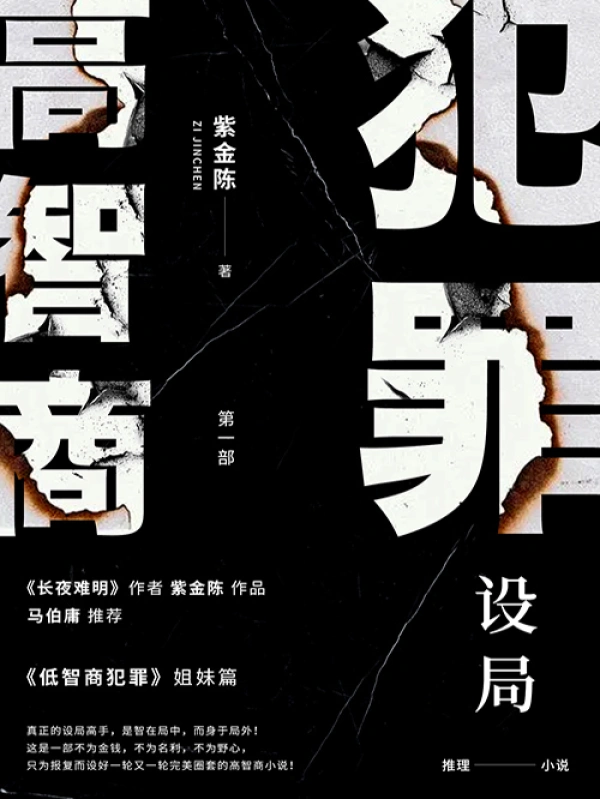《高智商犯罪1：设局》封面
