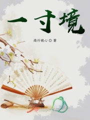 一寸境在线阅读