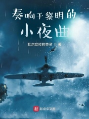 奏响于黎明的小夜曲在线阅读