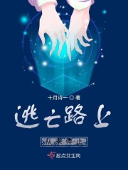 逃亡路上从未停止在线阅读