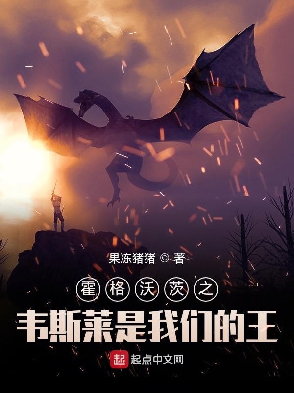 霍格沃茨之韦斯莱是我们的王在线阅读
