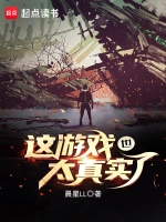 这游戏也太真实了小说封面 - 晨星LL著 - 小说