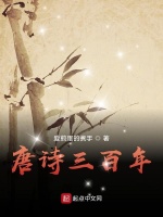 唐诗三百年封面