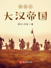 碰瓷在大汉帝国在线阅读