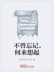 不曾忘记，何来想起在线阅读