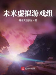 未来虚拟游戏组