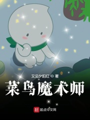 菜鸟魔术师在线阅读
