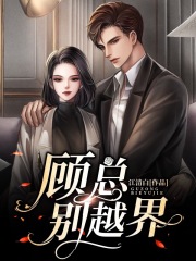 顾总，别越界在线阅读