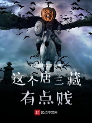 这个唐三藏有点贱在线阅读