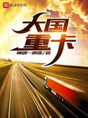 大国重卡在线阅读